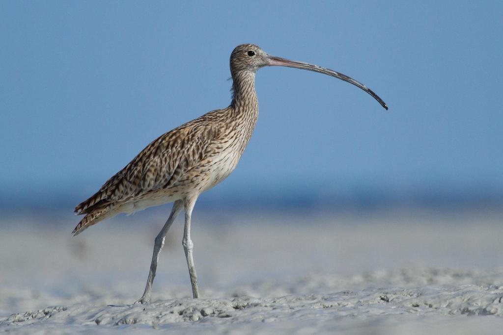 Broome Bird Observatory מראה חיצוני תמונה