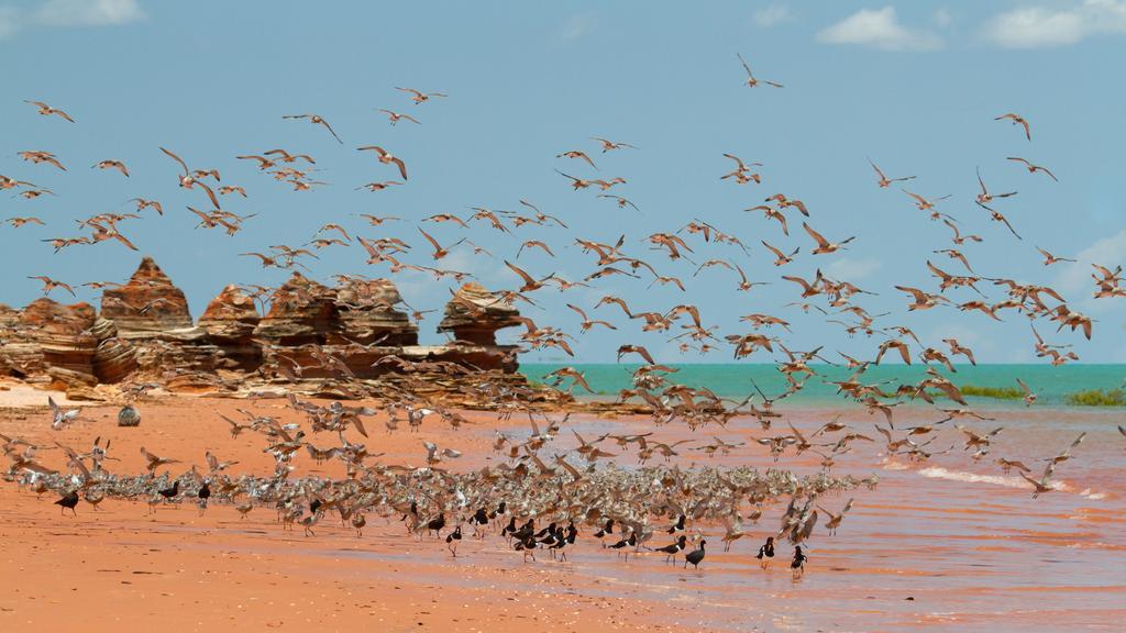 Broome Bird Observatory מראה חיצוני תמונה